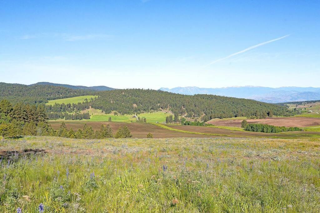 Wilderness Cabin - Eden Valley Oroville Exterior foto
