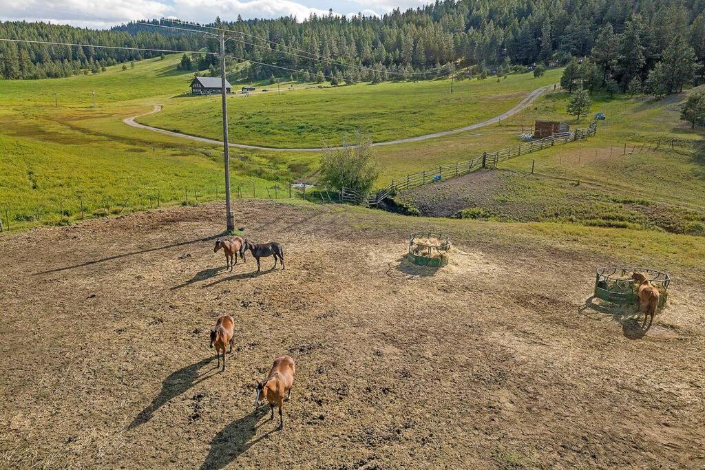 Wilderness Cabin - Eden Valley Oroville Exterior foto