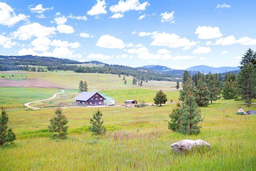 Wilderness Cabin - Eden Valley Oroville Exterior foto